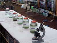 Water sample of River Ganga at different cities