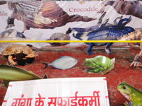 Ganga Exhibition  - Life of Ganga under threat